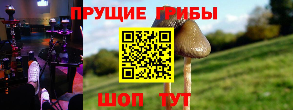Лесосибирск  Псилоцибиновые грибы Cubensis  Вход с VPN 